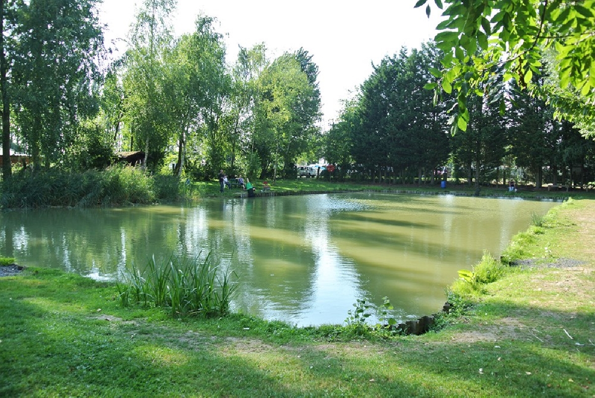 camping-alouette-image(4).jpg